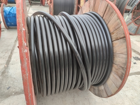 <img src=//draminski.com.cn/d/file/2e7a087a4b256e74eb6db677d659e00e.jpg height=300>