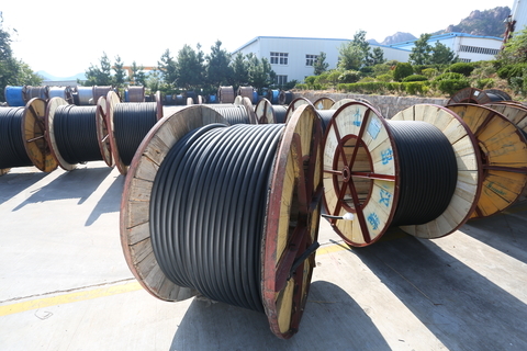 <img src=//draminski.com.cn/d/file/d7280efb3647127395989a2068e0c9ef.jpg height=300>